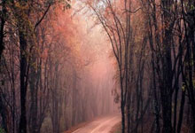 助攻双响绝平！梅西社媒晒比赛照片：新赛季的第一场比赛.