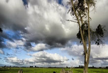 鲸鱼体育：2023賽季中國足球超級聯賽射手榜.